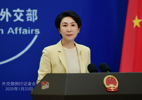毛1.jpg