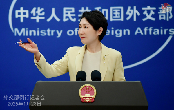 毛2.jpg