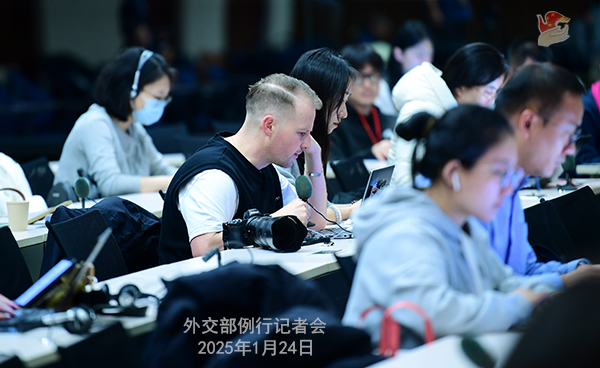毛2.jpg